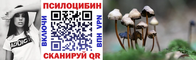 Галлюциногенные грибы Psilocybine cubensis  Купить  Темников 